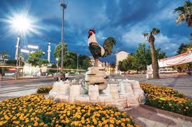 denizli karot hizmet bölgemiz