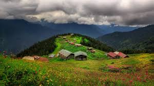 giresun karot hizmet bölgemiz