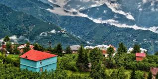 ordu karot hizmet bölgemiz